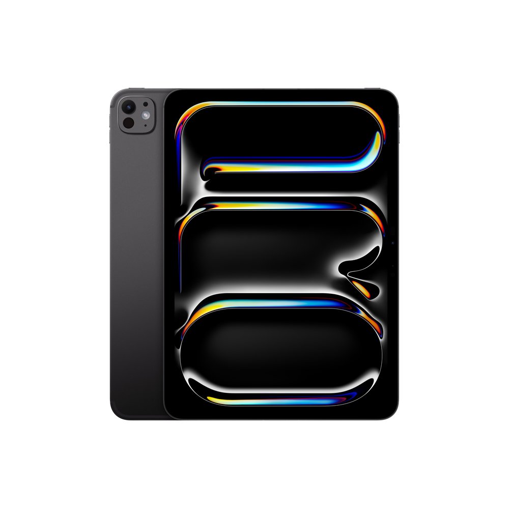 iPad Pro 11 M4 WiFi + Cellular 2 TB - Negro Espacial