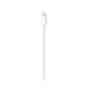 Cable Apple Lightning a USB-C 1 mts2