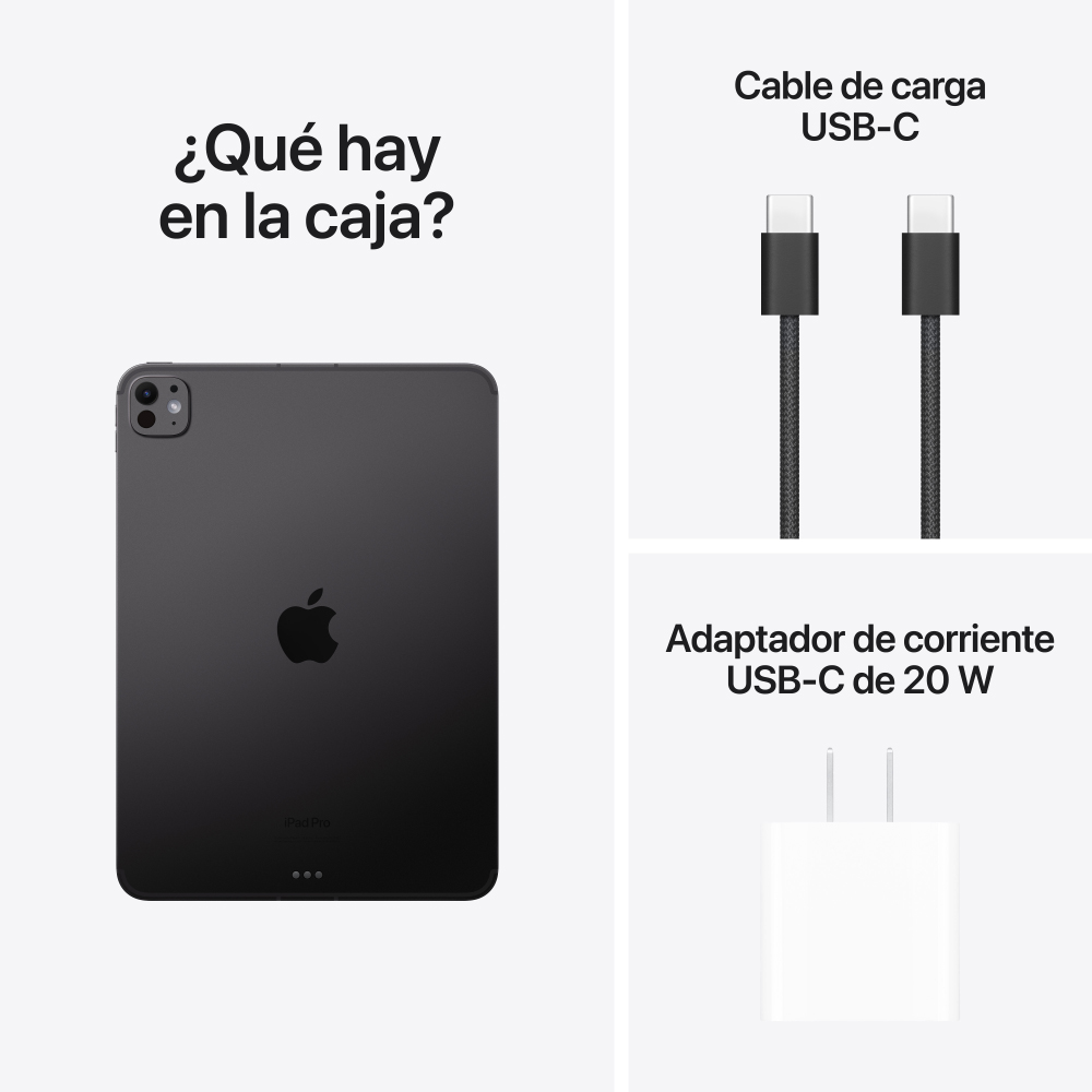 iPad Pro 11 WiFi + Cellular 256 GB - Negro Espacial